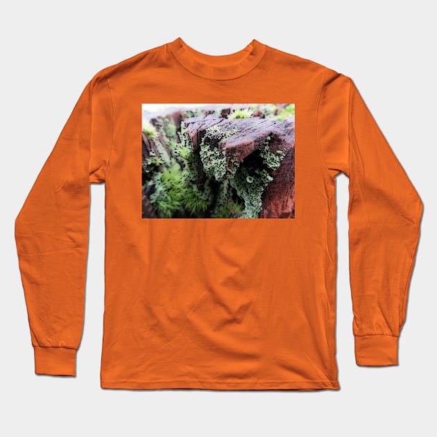 The spread Long Sleeve T-Shirt by olliehenry